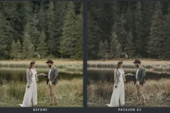 20 Storyteller LR Presets