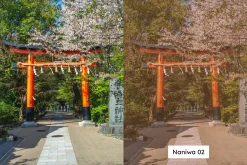 20 Aged Film Lightroom Presets & LUT