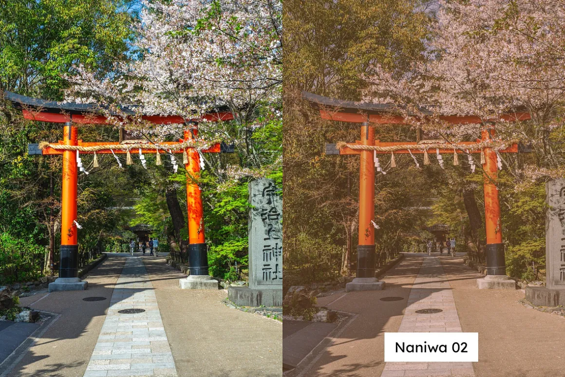 20 Aged Film Lightroom Presets & LUT