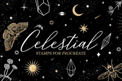 80 Celestial Procreate Stamp Brushes