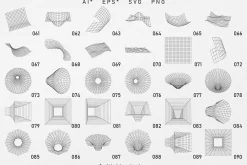 136 3D Wireframe vector shapes