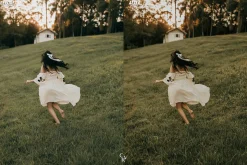 25 Earthy Tone Lightroom Presets