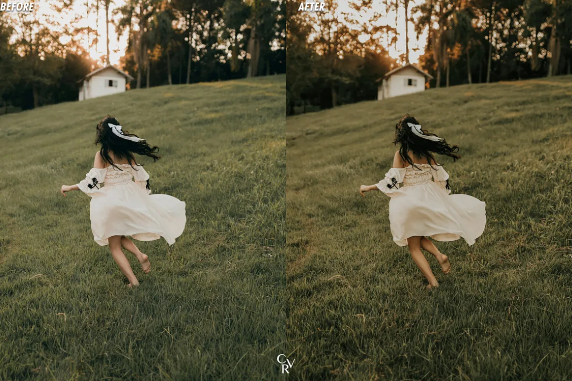 25 Earthy Tone Lightroom Presets