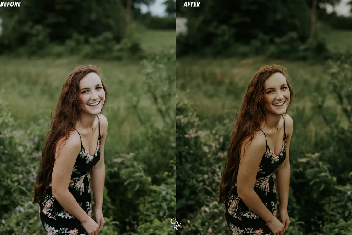 25 Earthy Tone Lightroom Presets