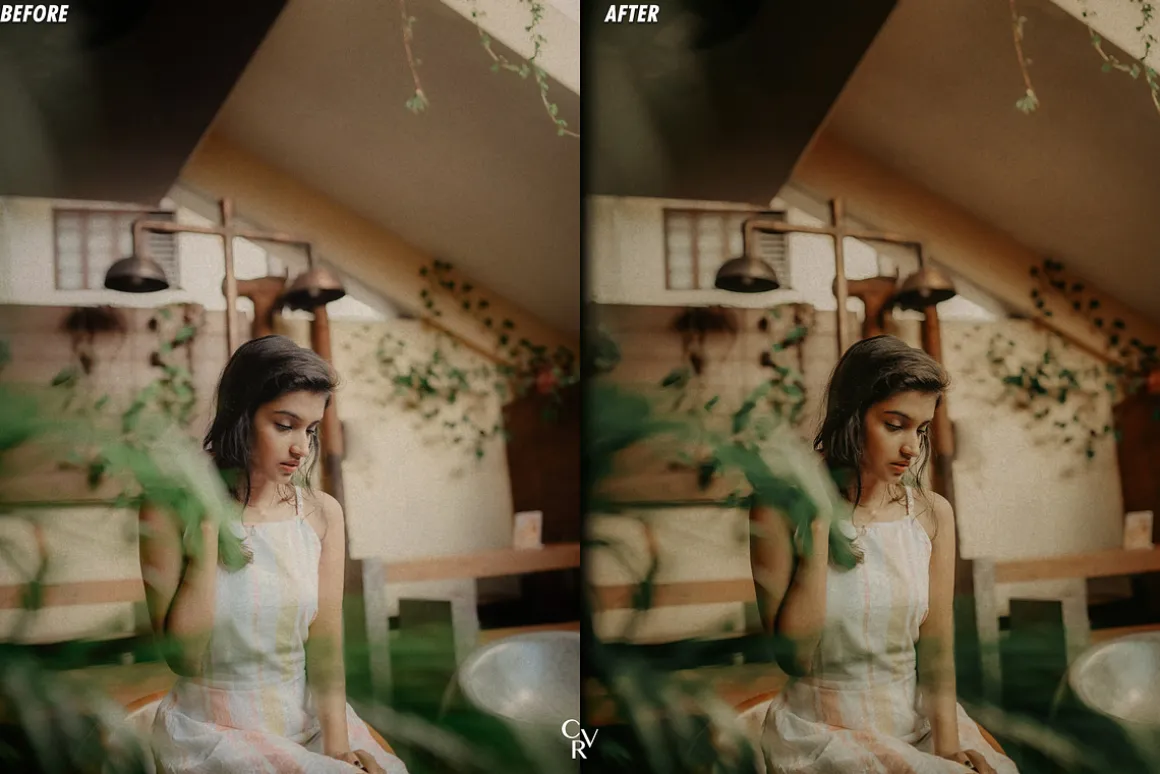 25 Earthy Tone Lightroom Presets
