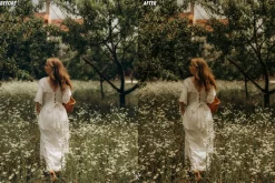25 Earthy Tone Lightroom Presets
