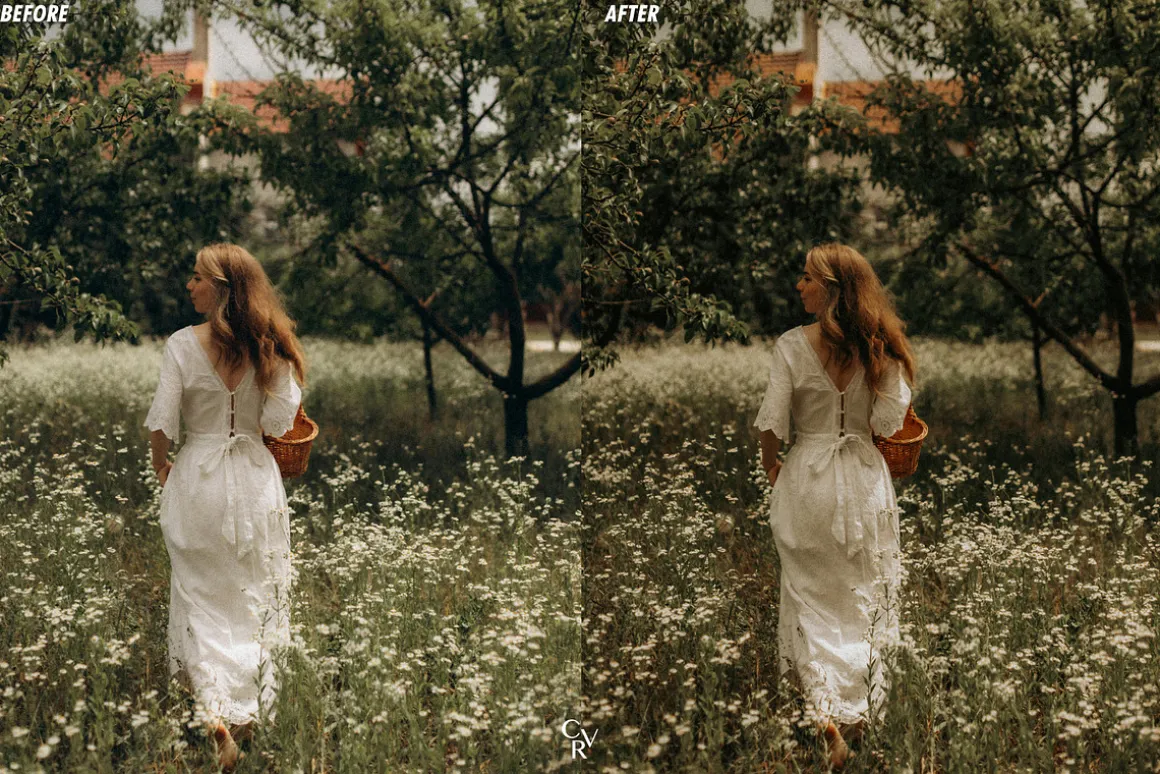 25 Earthy Tone Lightroom Presets