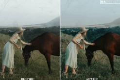 10 EMORIAL FILM Lightroom Presets
