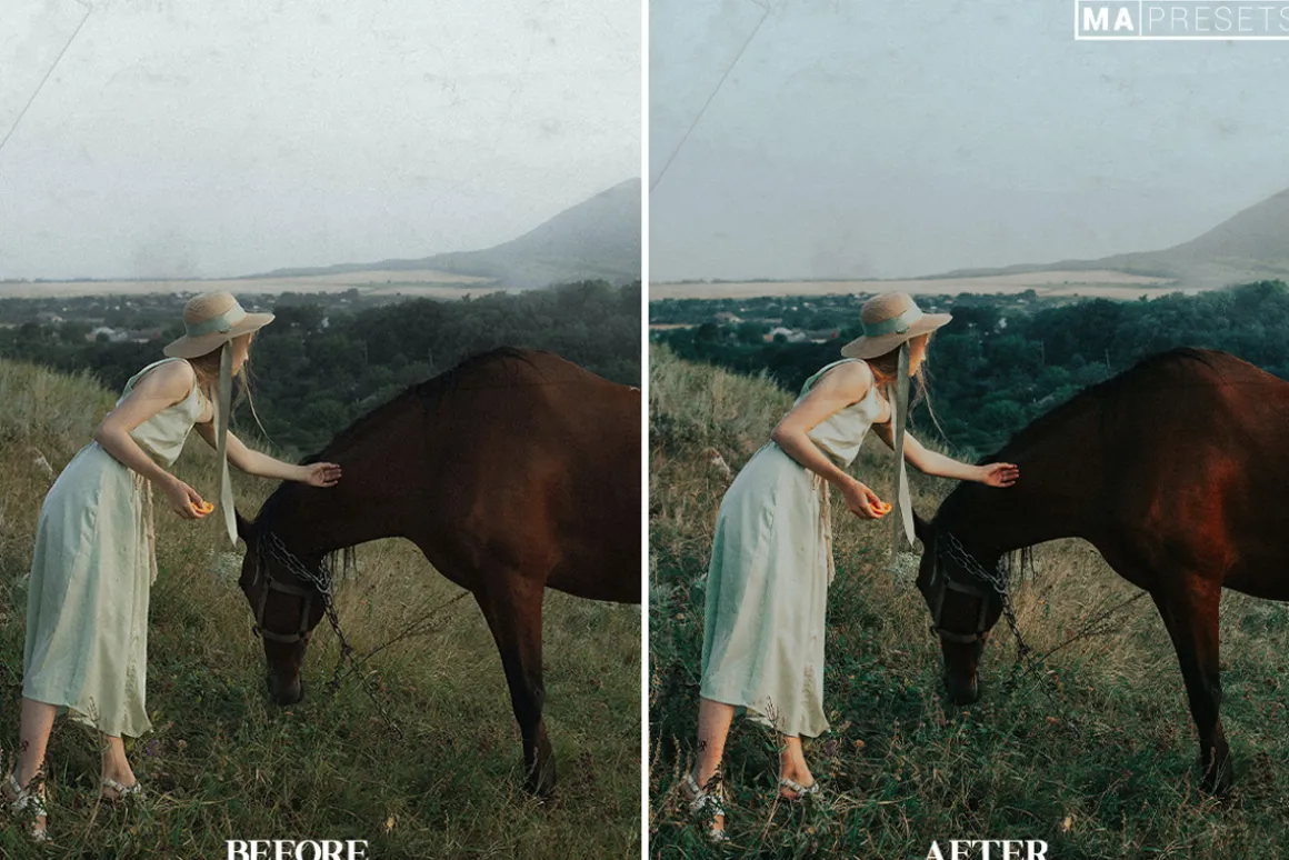 10 EMORIAL FILM Lightroom Presets