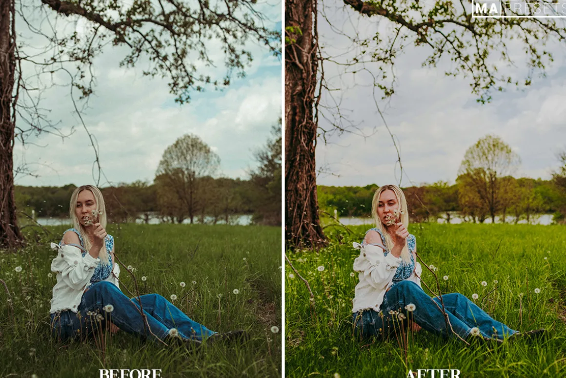 10 EMORIAL FILM Lightroom Presets