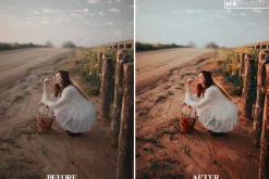 10 EMORIAL FILM Lightroom Presets