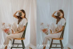 25 Film LR Presets + Video Filters