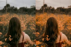 15 Golden Lightroom Presets