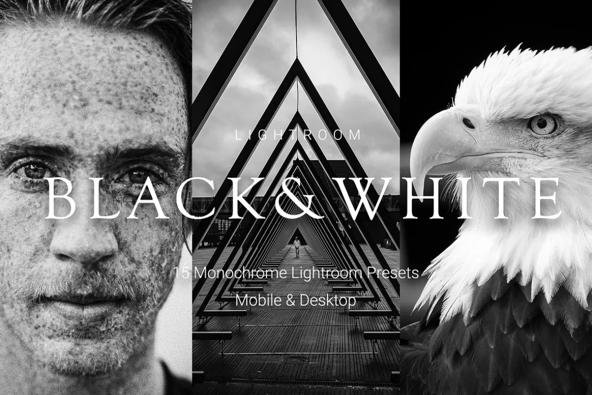 15 Monochrome Lightroom Presets