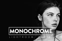 10 MONOCHROME Lightroom Presets
