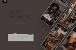 4 Moody Aesthetic Lightroom Presets