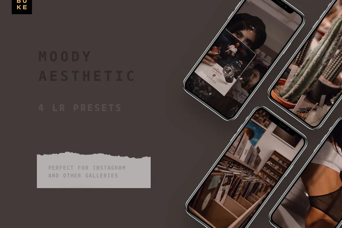 4 Moody Aesthetic Lightroom Presets
