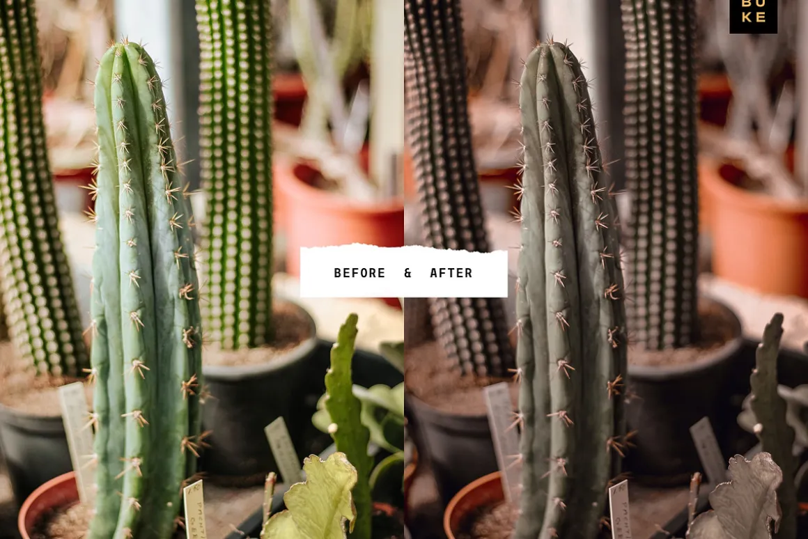 4 Moody Aesthetic Lightroom Presets
