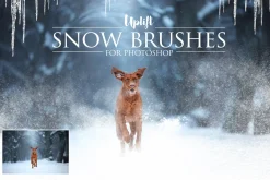25 Snow Brushes for Photoshop