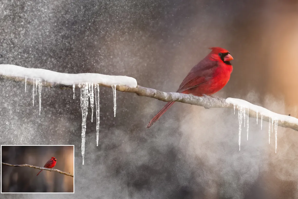 25 Snow Brushes for Photoshop