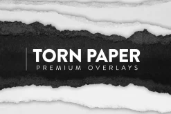20 Torn Paper Overlay