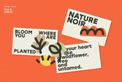 27 Vector Graphic Elements