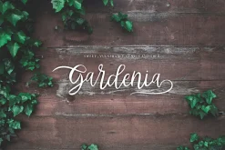 Abhyaksa Handwritten Font