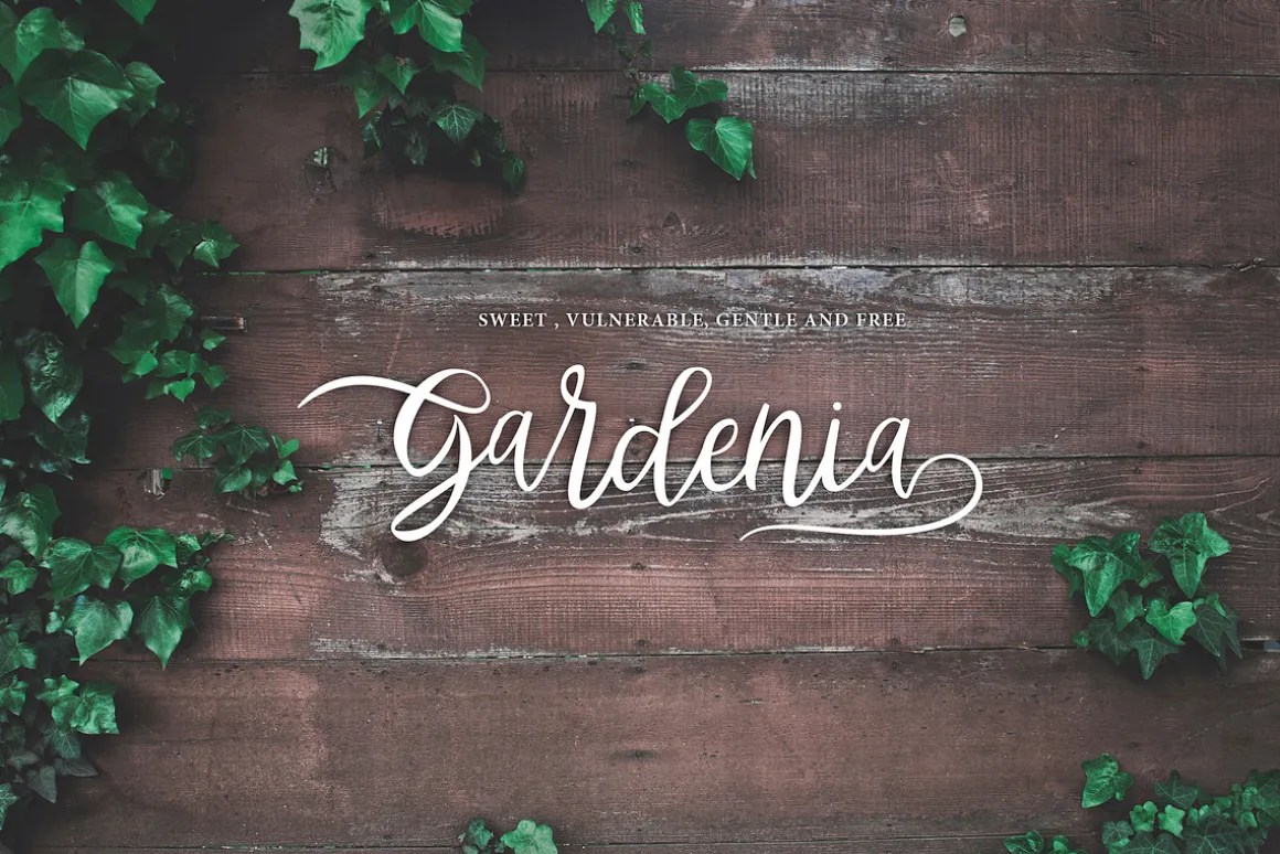 Abhyaksa Handwritten Font