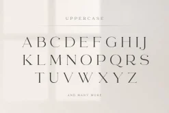 abigail - unique ligature font