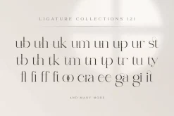 abigail - unique ligature font