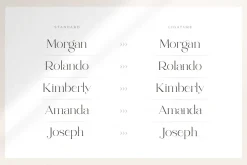 abigail - unique ligature font