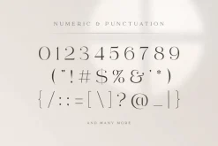 abigail - unique ligature font