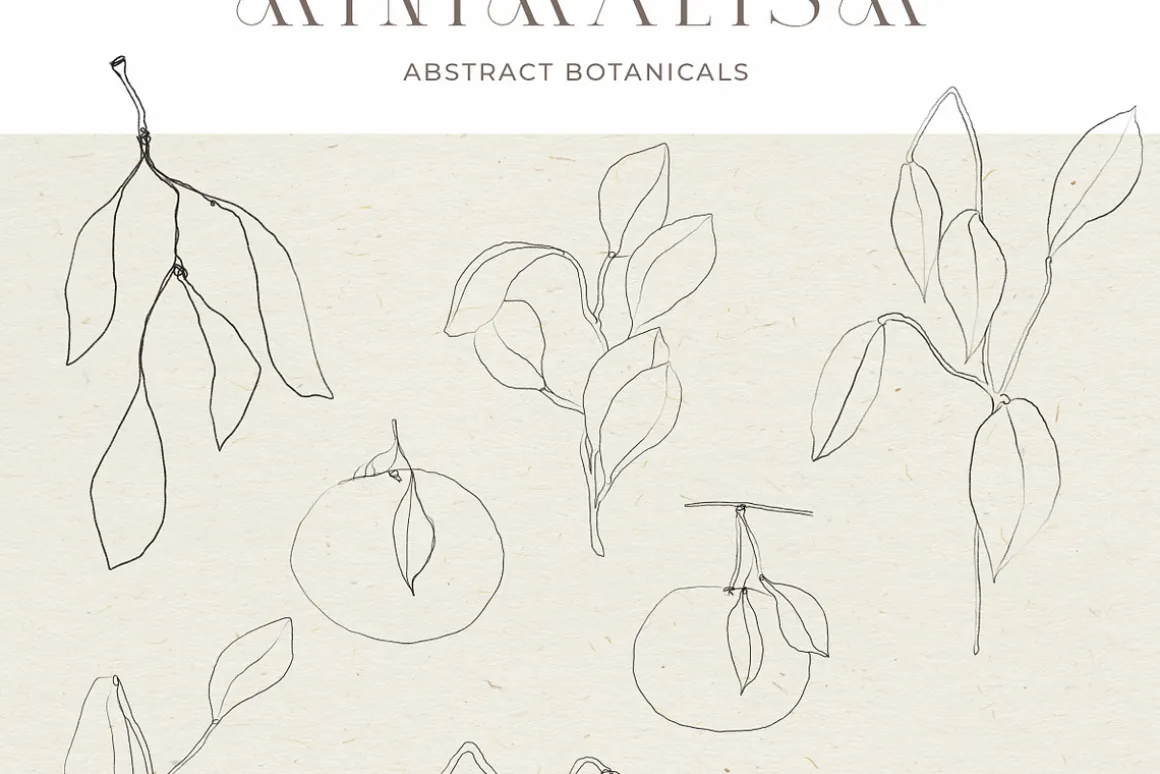 Abstract Floral Line Art & Poster