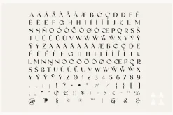 Acreage - A Modern Typeface