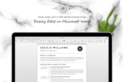 A4 Curriculum Vitae + Cover Letter