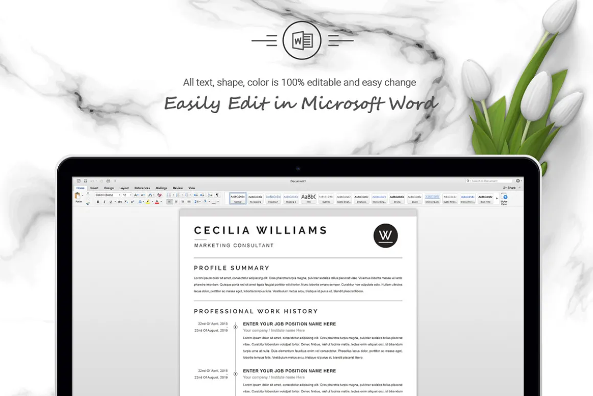 A4 Curriculum Vitae + Cover Letter