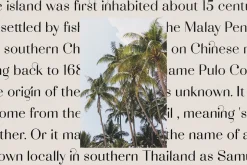 Adagio Decorative Ligature Font Duo