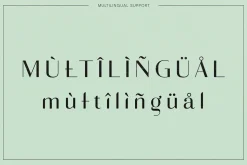 Adagio Decorative Ligature Font Duo