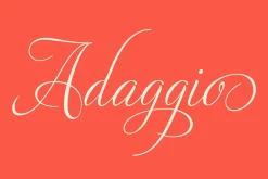 Adios Script