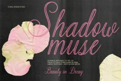 Adore Studio Romantic Font Duo