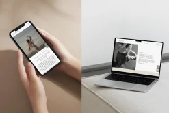 Aesthetic Cahaja Elementor Template
