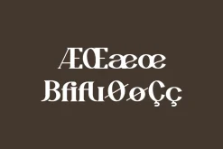 Aesthetic Mofash - Luxury Bold Font