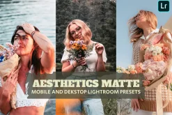 Aesthetics Matte Lightroom Presets