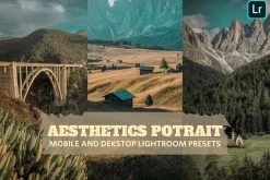 Aesthetics Portrait Lightroom Preset