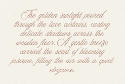 Aesthetics Romantic Script