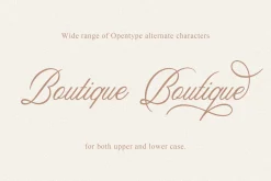 Aesthetics Romantic Script