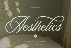 Aesthetics Romantic Script