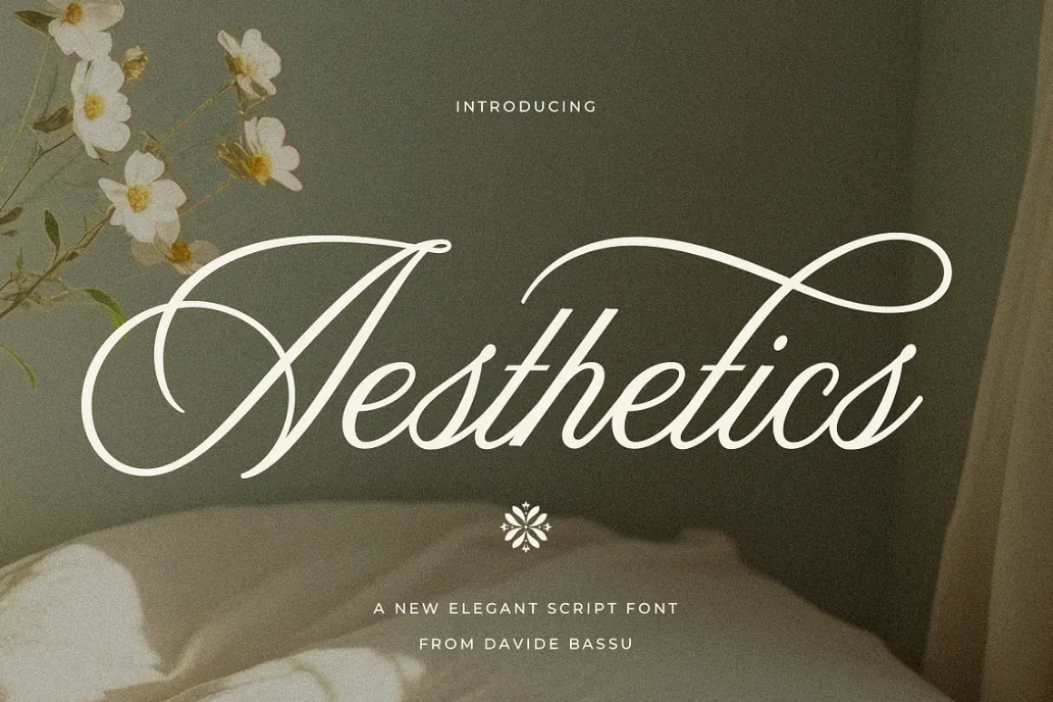 Aesthetics Romantic Script
