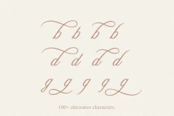 Aesthetics Romantic Script