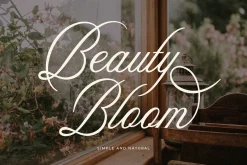 Aesthetics Romantic Script